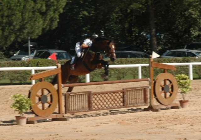  Preparación de entrenamiento deportivo ecuestre 